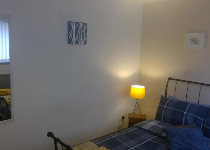 Delightful House With Big Ambitions